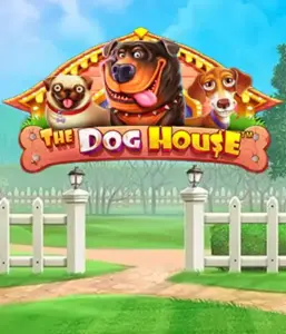 Pragmatic Play's The Dog House adventure, bringing you an adorable journey through lovable dogs. Enjoy gameplay elements such as multipliers, designed for providing entertaining gameplay. Ideal for those who enjoy a lighthearted setting and the opportunity to win big.