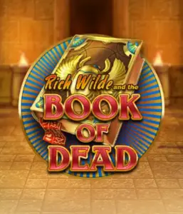 Embark on the thrilling world of Book of Dead Slot by Play'n GO, presenting vivid graphics of Rich Wilde's journey through ancient Egyptian tombs and artifacts. Uncover lost riches with exciting mechanics like free spins, expanding icons, and a gamble option. Ideal for adventure seekers with a desire for thrilling discoveries.